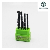 تصویر  مته آهن ست ۱۰ عددی سیلور مدل SILVER YPM-2-10MM-GT-BB10-10 PCS